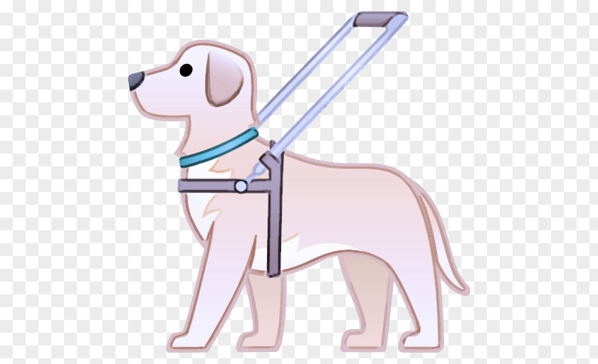 Leash Labrador Retriever Dog Cartoon Sporting Group Puppy PNG