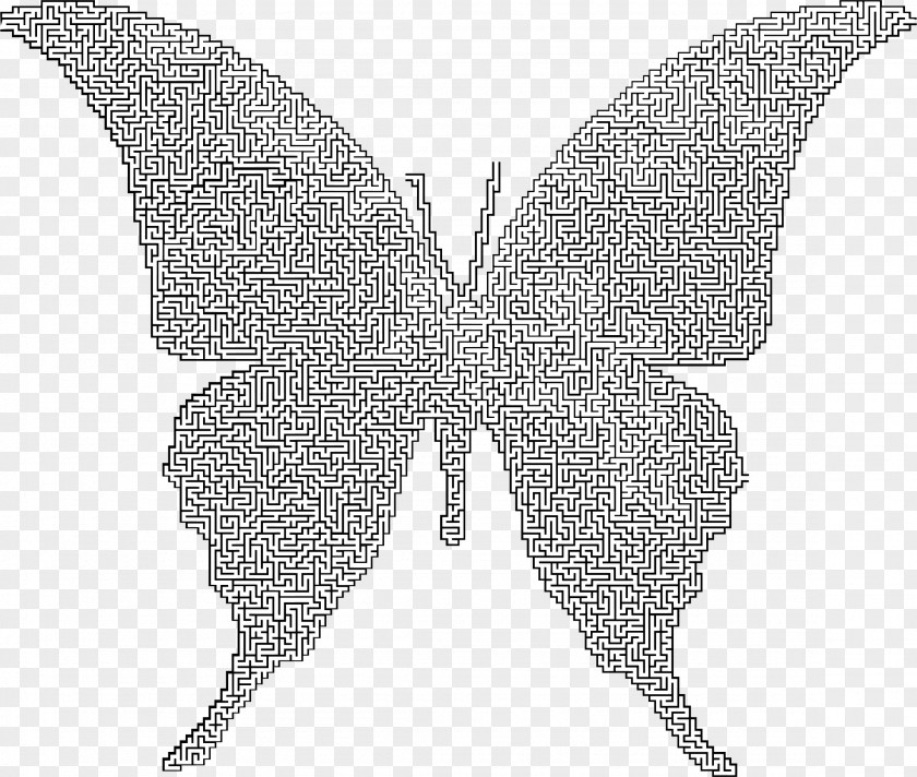 Maze Butterfly Insect Moth Puzzle PNG