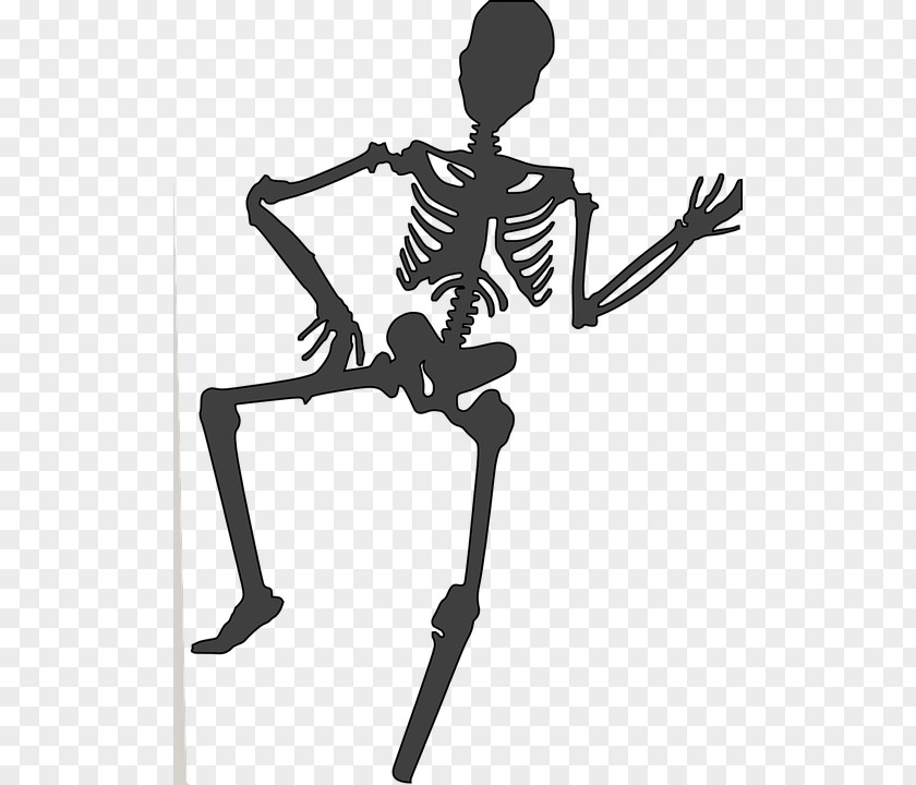 Skeleton Human Clip Art PNG
