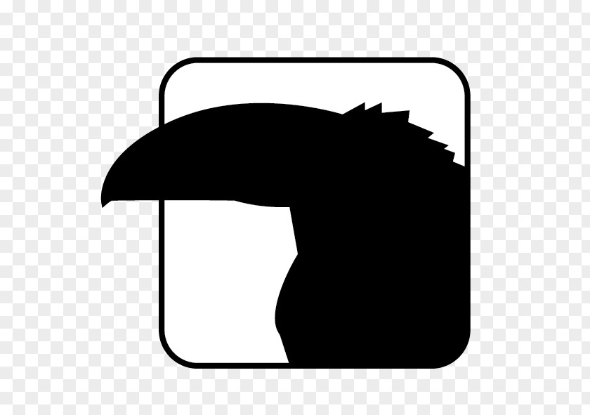 Toucan Black And White Monochrome Photography Silhouette PNG