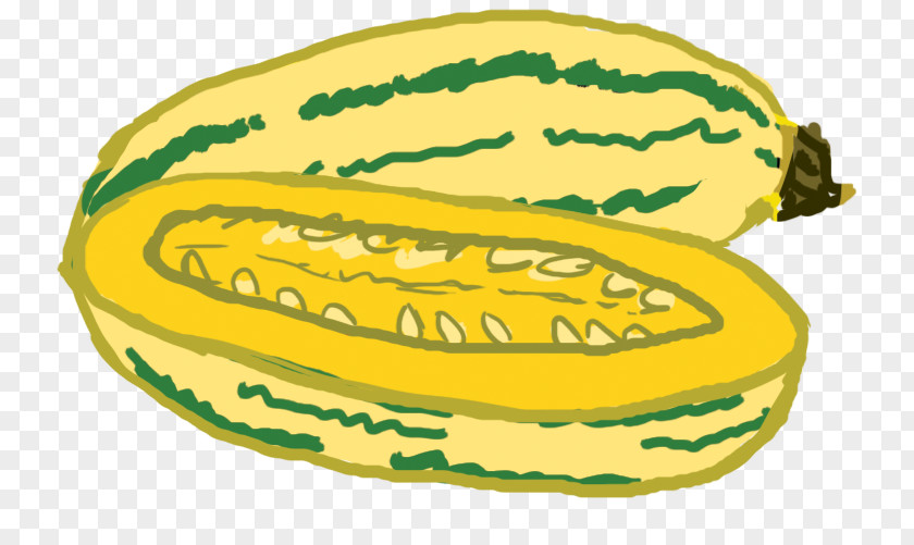Watermelon Muskmelon Squash Commodity Clip Art PNG