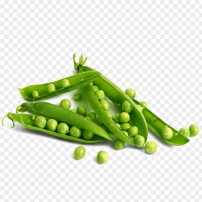 Fine Peas 4 Pics 1 Word Pea Letter Vegetable PNG