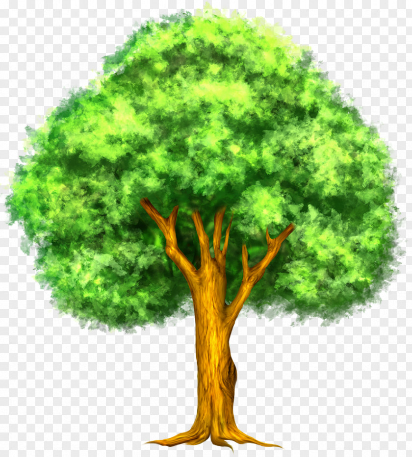 Green Painted Tree Clipart Clip Art PNG