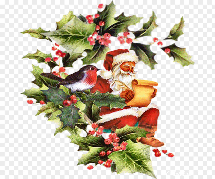 Santa Claus Christmas Ornament Day New Year Tree PNG
