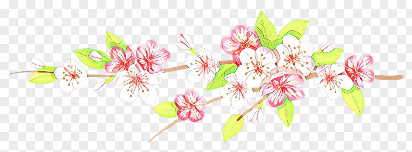 Cut Flowers Branch Cherry Blossom PNG