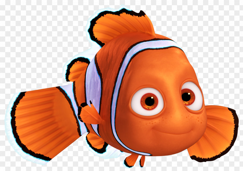 Dory Fish Finding Nemo Clip Art Crush Marlin PNG