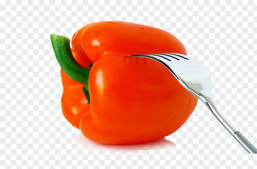 Fork Caijiao Habanero Bell Pepper Cayenne Tomato Vegetable PNG