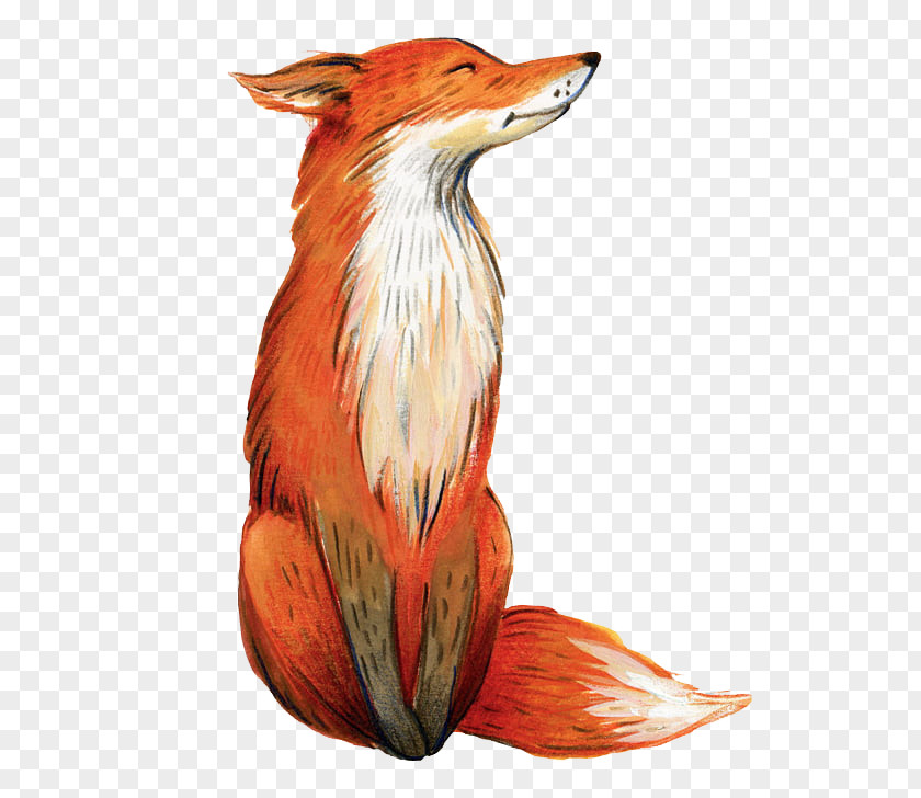 Fox Drawing Wildlife Carnivoran Watercolor Painting Clip Art PNG