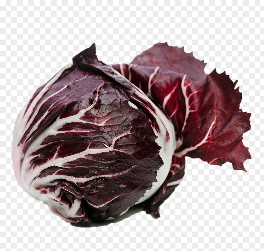 Fresh Red Cabbage Chicory PNG