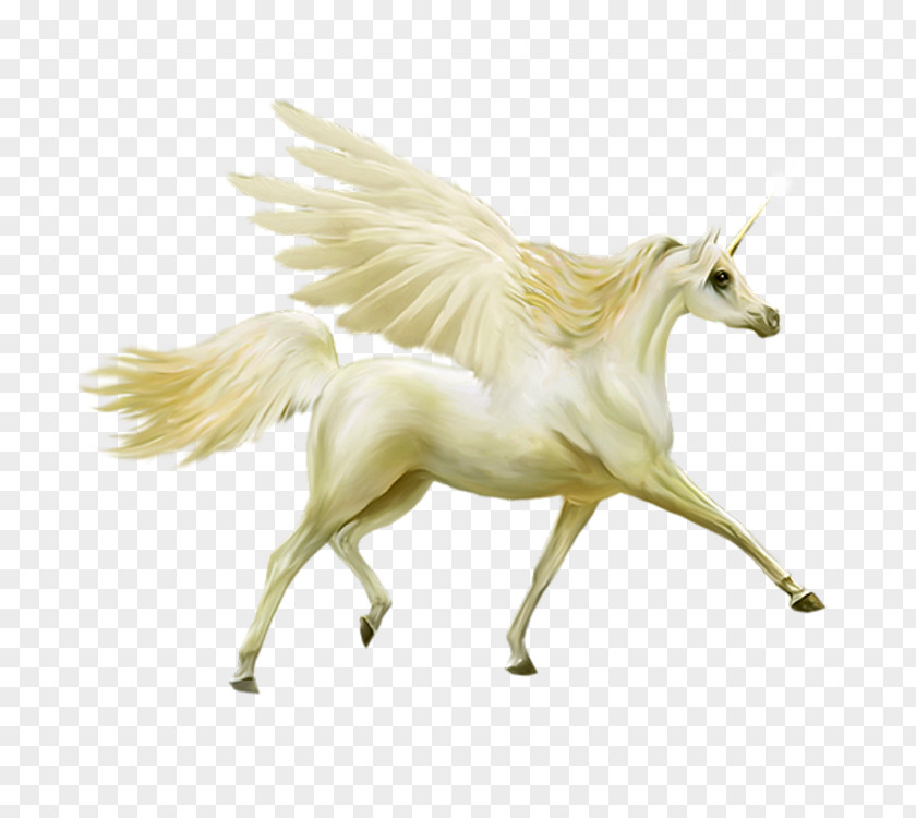 Horse Unicorn Pegasus Image Clip Art PNG