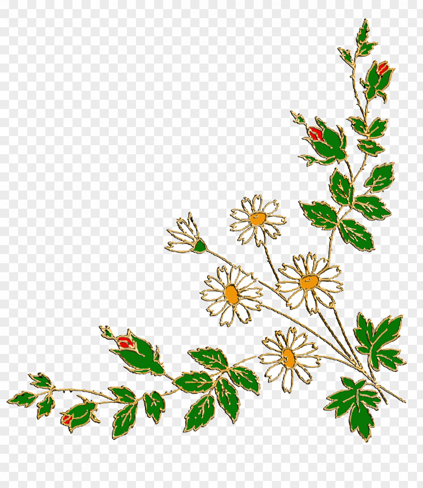 Leaf Twig Floral Design Plant Stem Clip Art PNG