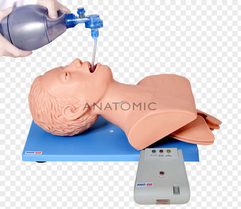 Manequim Tracheal Intubation Training Medicine Lung PNG