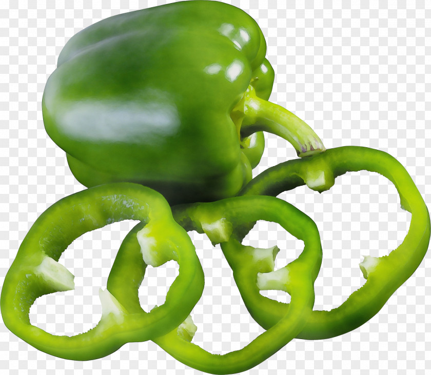 Octopus Plant Bell Pepper Green Peppers And Chili Pimiento PNG
