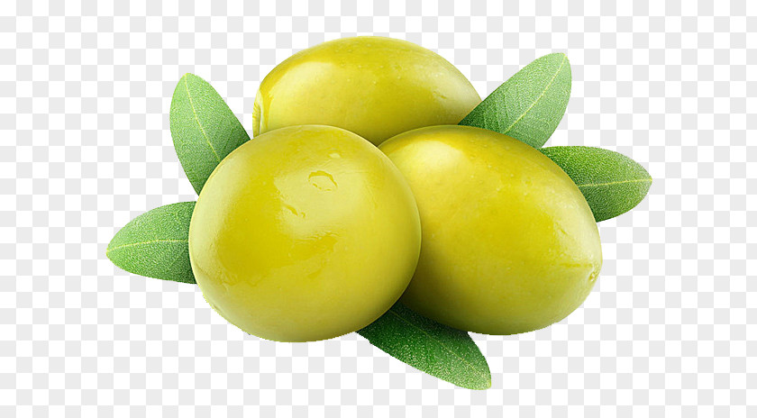 Olives Olive Oil Greek Salad Stock Photography Green PNG