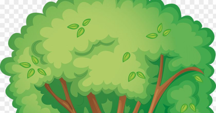 Arboles Tree Animation Clip Art PNG