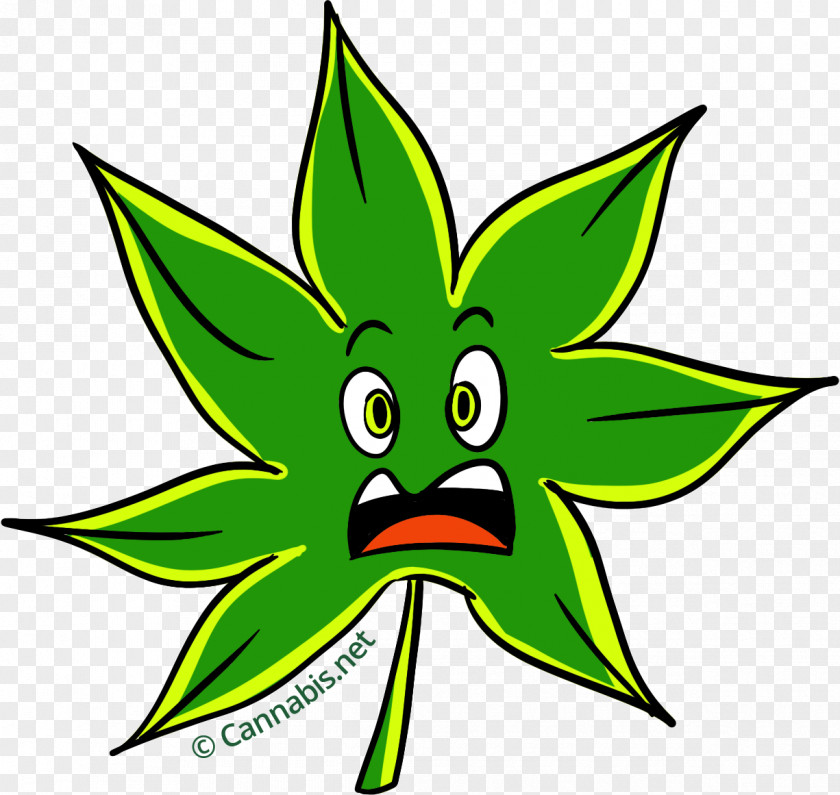 Cannabis Sour Diesel New York City Marijuana Leaf PNG