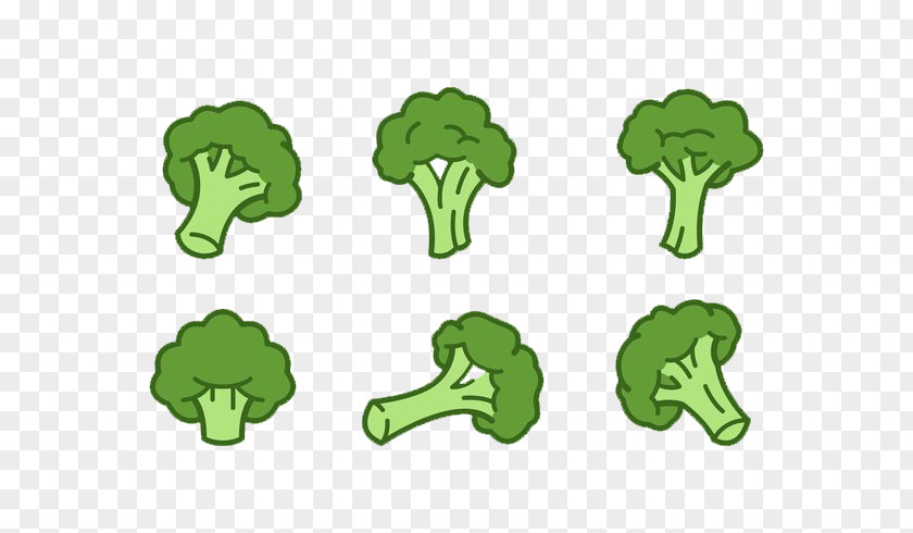 Cauliflower Broccoli Vegetable PNG