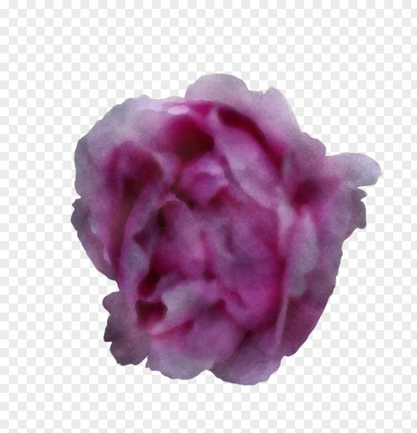 Garden Roses PNG