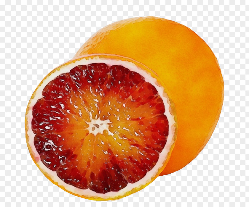 Mandarin Orange Rangpur PNG
