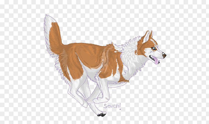 Siberian Husky Dog Breed Red Fox Dhole Fur PNG