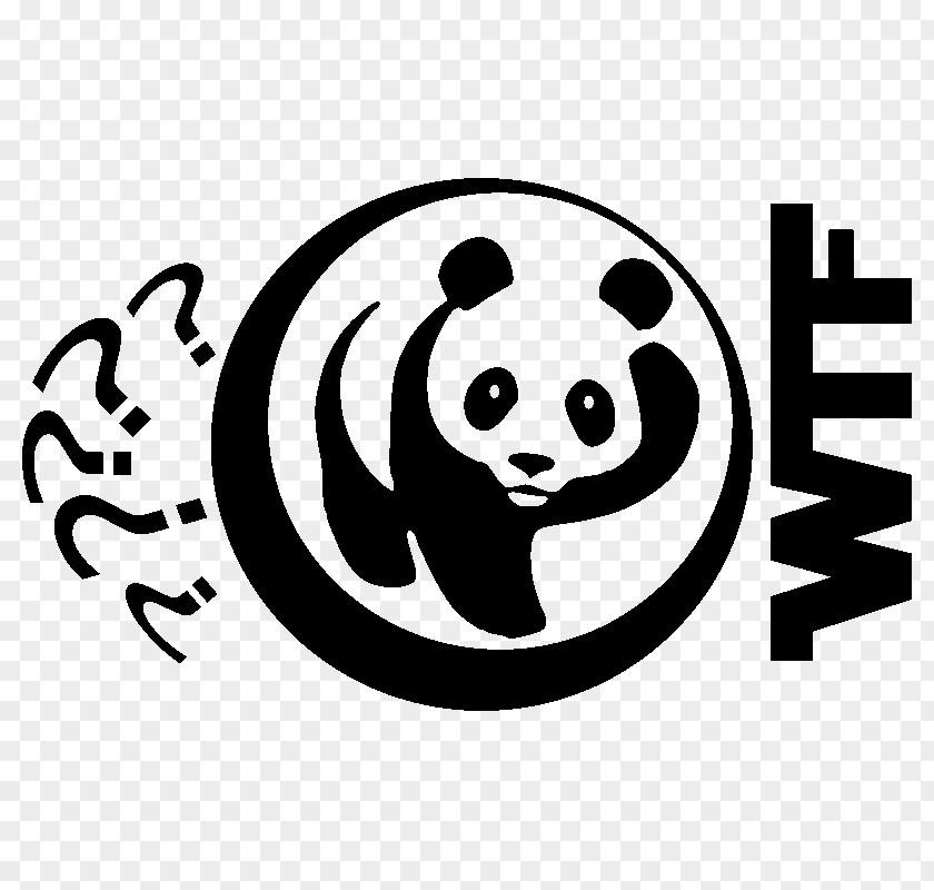 Bear Giant Panda Sticker Brand Clip Art PNG