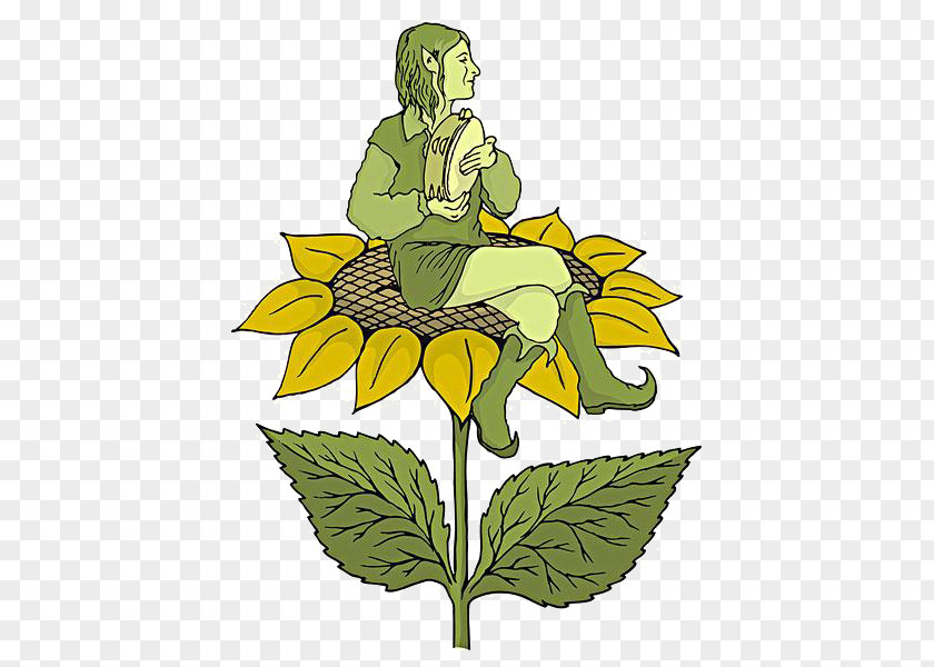 Cartoon Sunflower Woman Common Drawing Illustration PNG