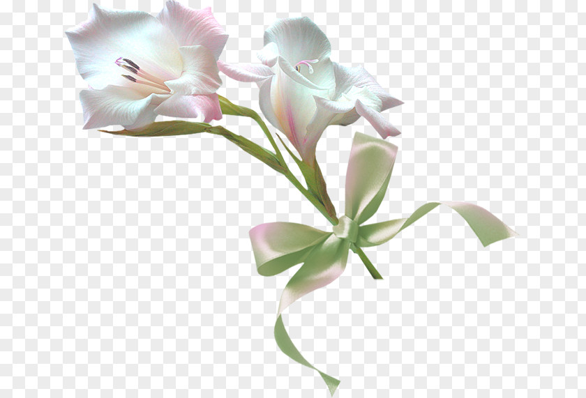 Flower Pink Flowers Image T-shirt PNG