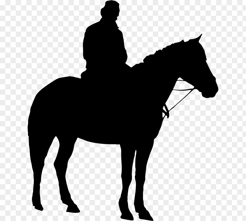 Horse Riding American Quarter Equestrian Silhouette Clip Art PNG