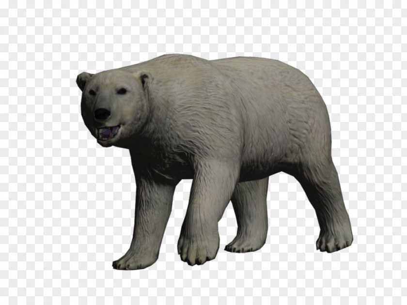 Polar Bear Brown Reindeer Tundra PNG