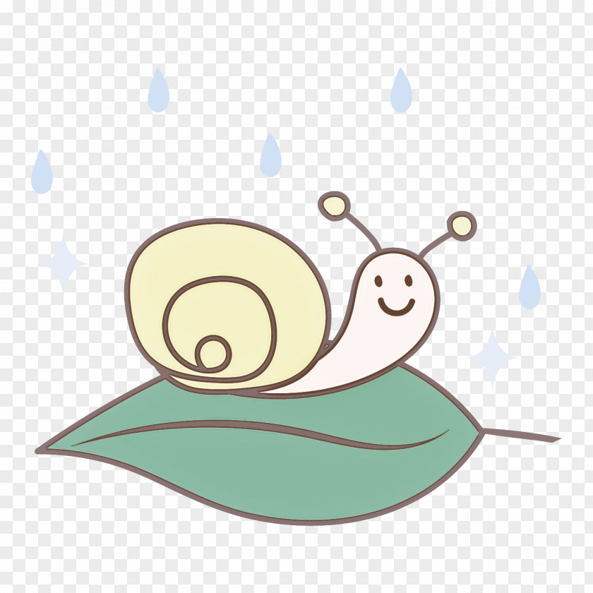 Snail Snails And Slugs Sea Slug PNG