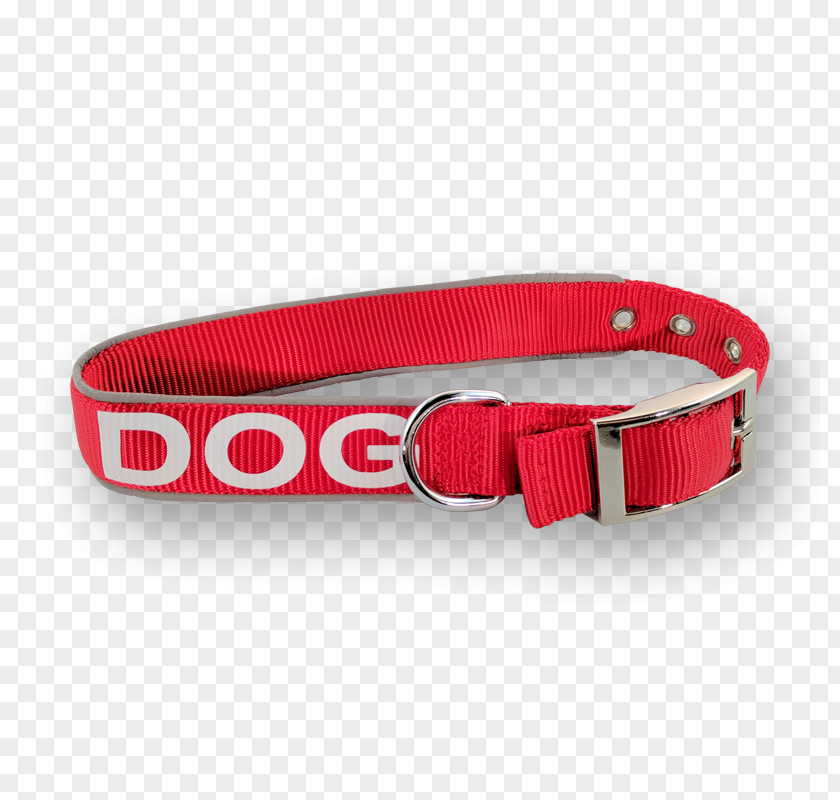 Belt Dog Collar Buckle PNG