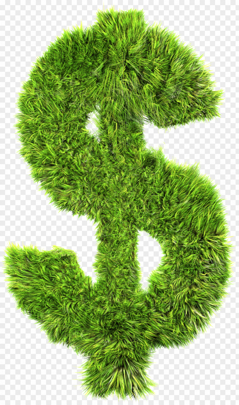 Grassy Area Dollar Sign Finance Money Business United States PNG