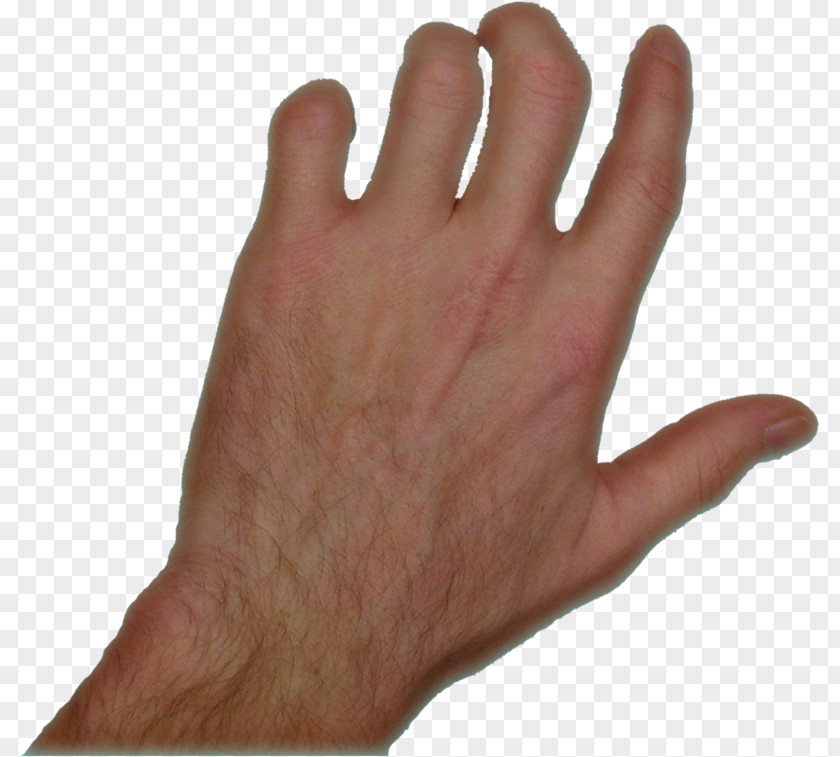 Left Hand Model Glove Finger PNG