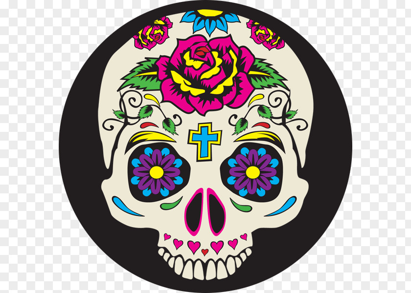 Skull Paper Brain Day Of The Dead Printing PNG