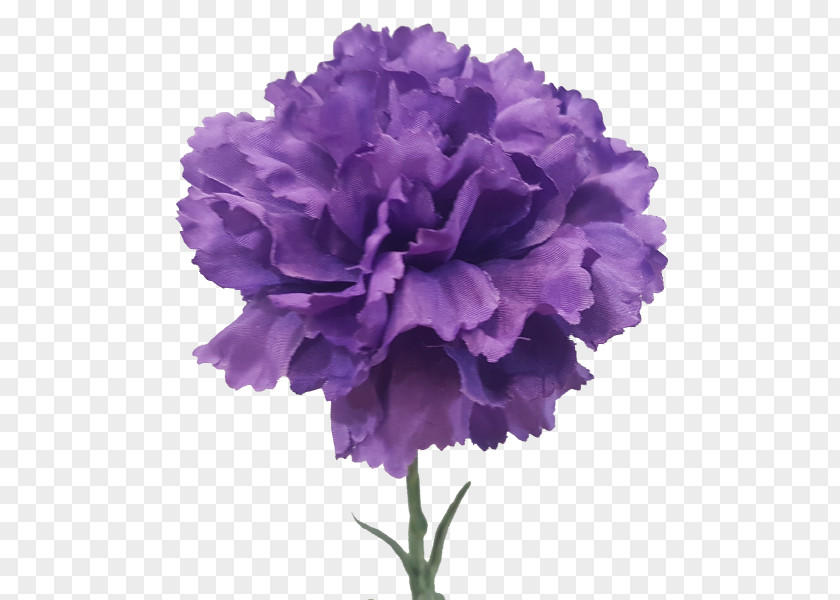 CARNATION Carnation Cut Flowers Violet Artificial Flower PNG