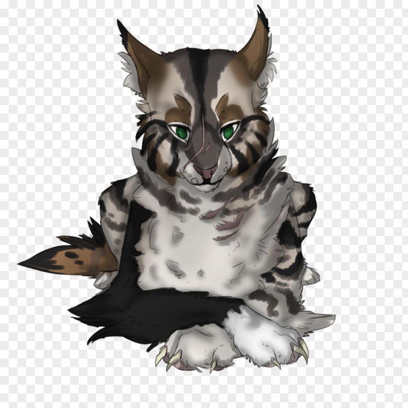 Cat Whiskers Owl Fauna Beak PNG