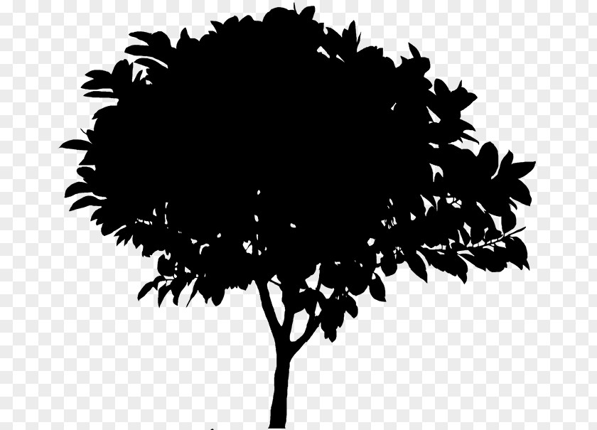 Clip Art Silhouette Openclipart Vector Graphics Tree PNG