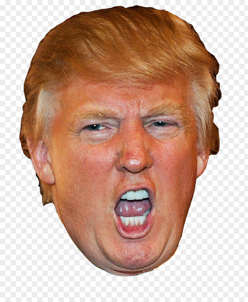 Donald Trump The Apprentice President Of United States Republican Party PNG