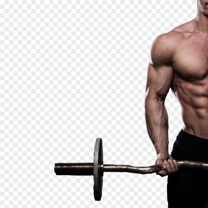 Fitness Man Being HD Photography Physical Bodybuilding Exercise PNG