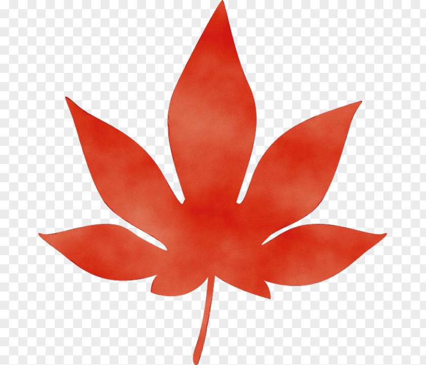 Flowering Plant Flower Leaf Red Petal PNG