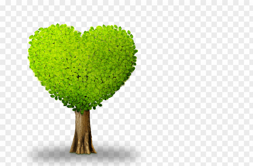 Heart-shaped Tree Plant Heart PNG