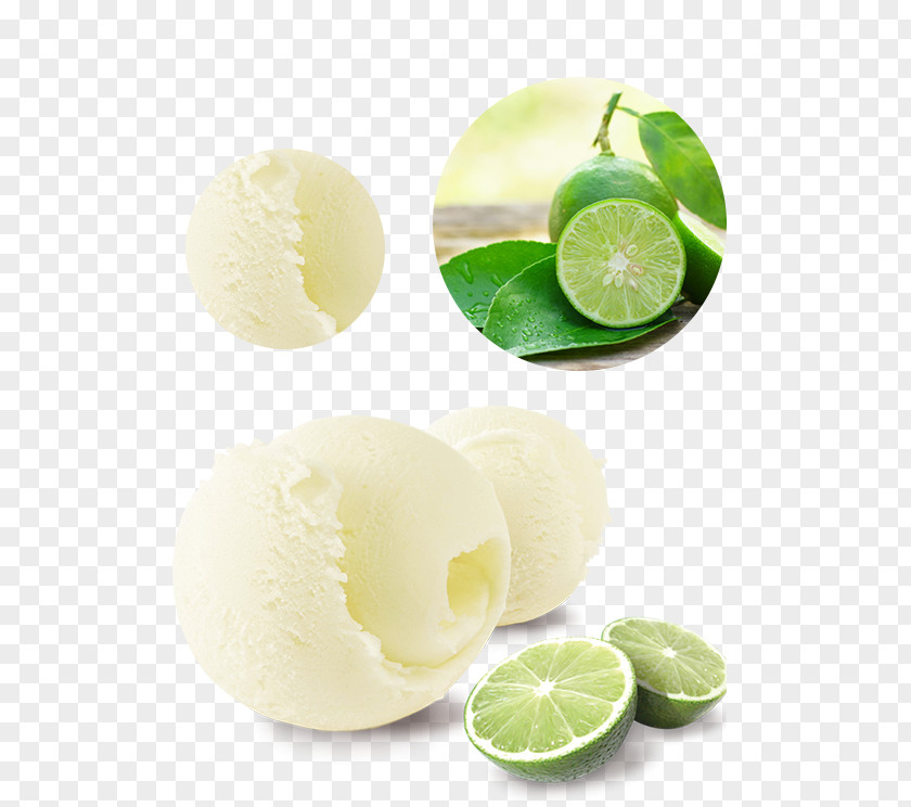 Lime Lemon-lime Drink Key Peruvian Cuisine Vegetarian PNG