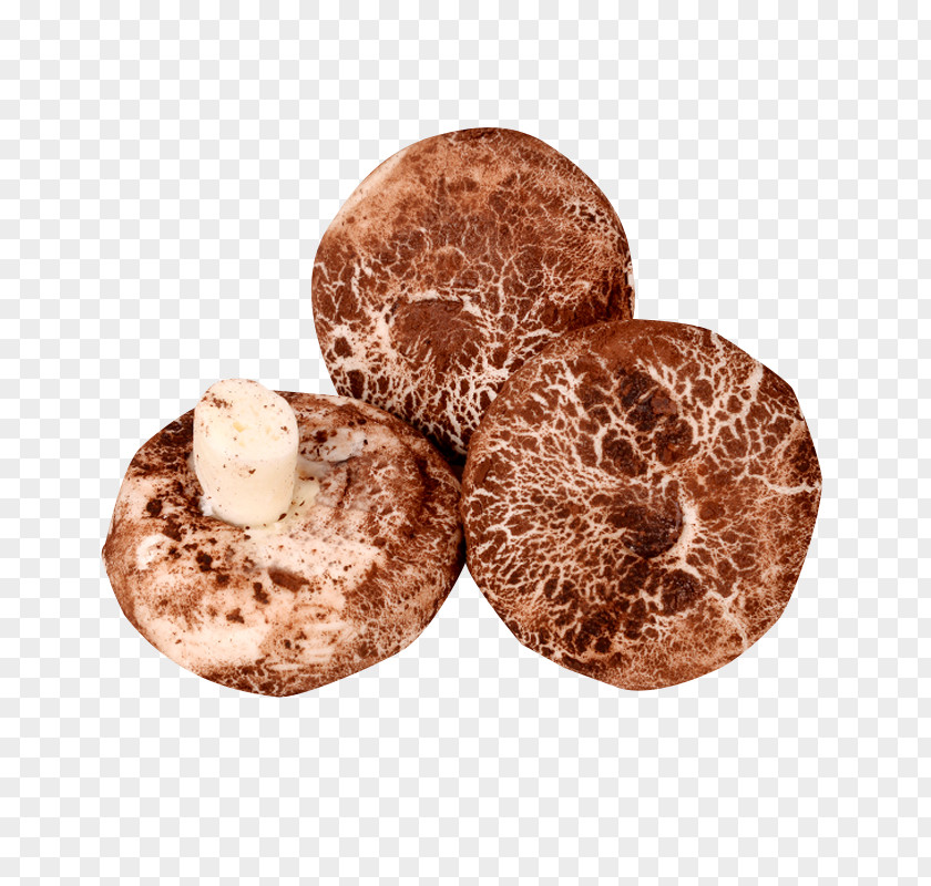 Mushroom Buns With Baozi Cinnamon Roll Cha Siu Bao Shiitake Bun PNG