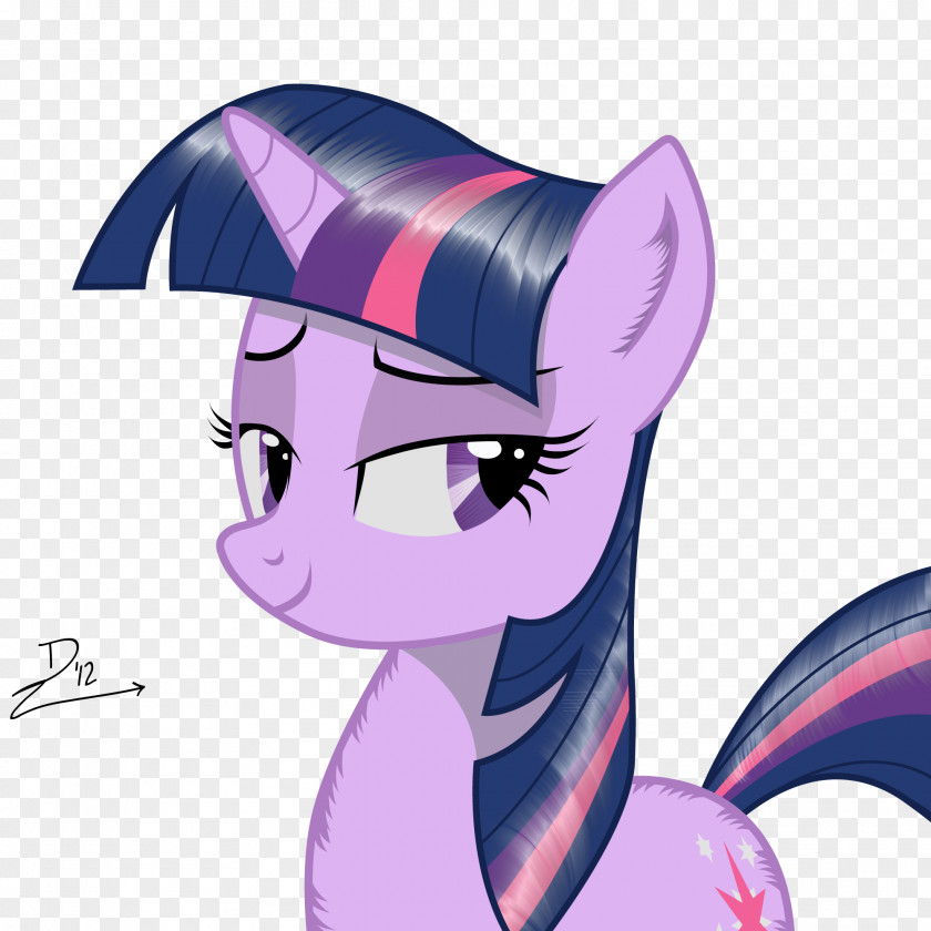 My Little Pony Twilight Sparkle Rainbow Dash Pinkie Pie Applejack Rarity PNG