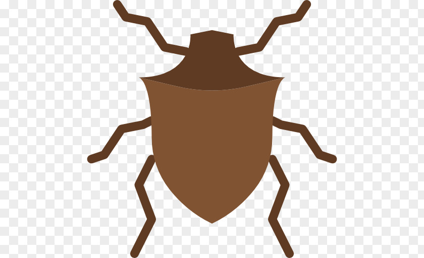 Beetle Clip Art PNG