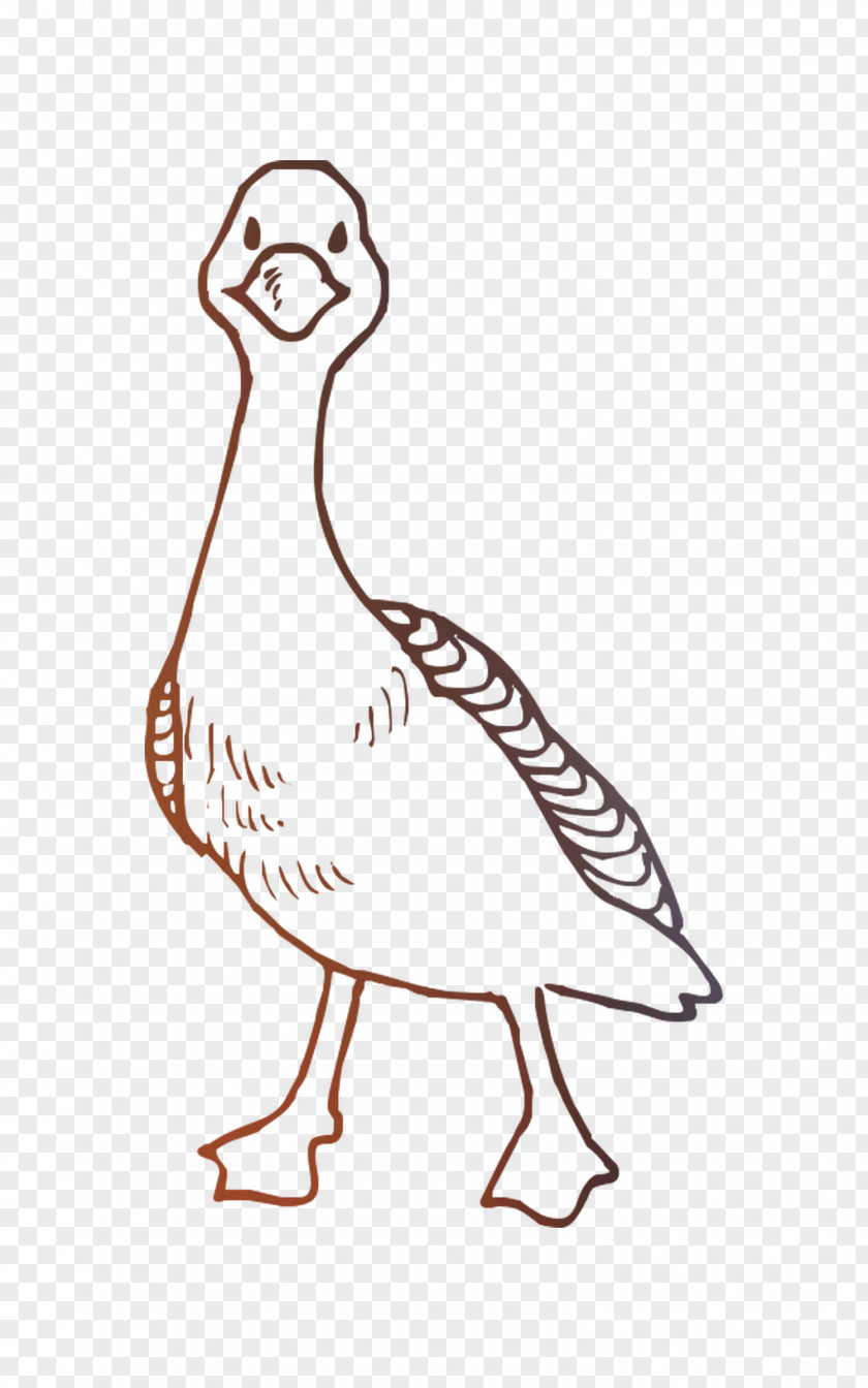 Duck Chicken Cartoon Design Illustration PNG