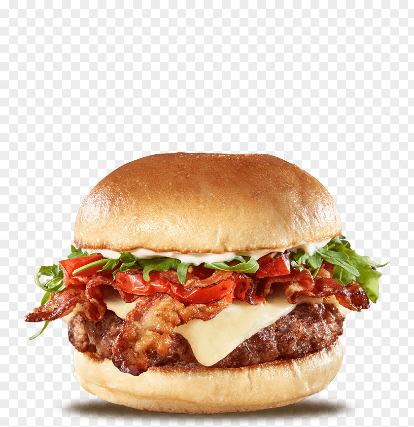 Gourmet Burgers Hamburger Breakfast Sandwich Cheeseburger Fast Food French Fries PNG