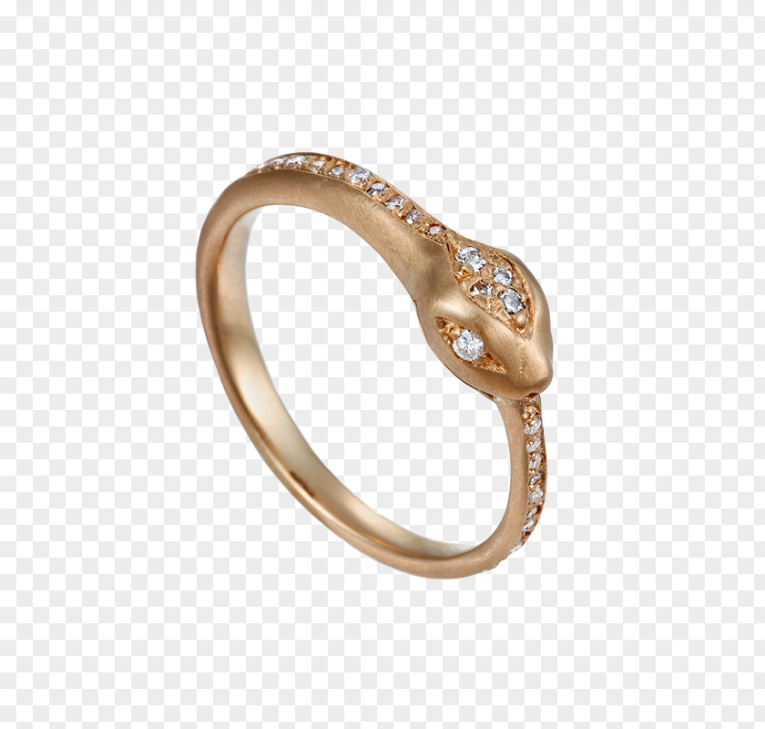 Ring Ouroboros Body Jewellery Symbol PNG
