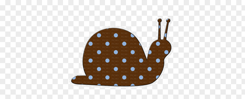 Snail Orthogastropoda Slug PNG