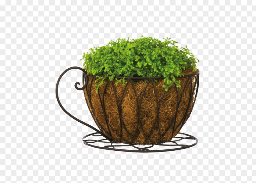 Flower Flowerpot Coffee Cup Garden Teacup PNG